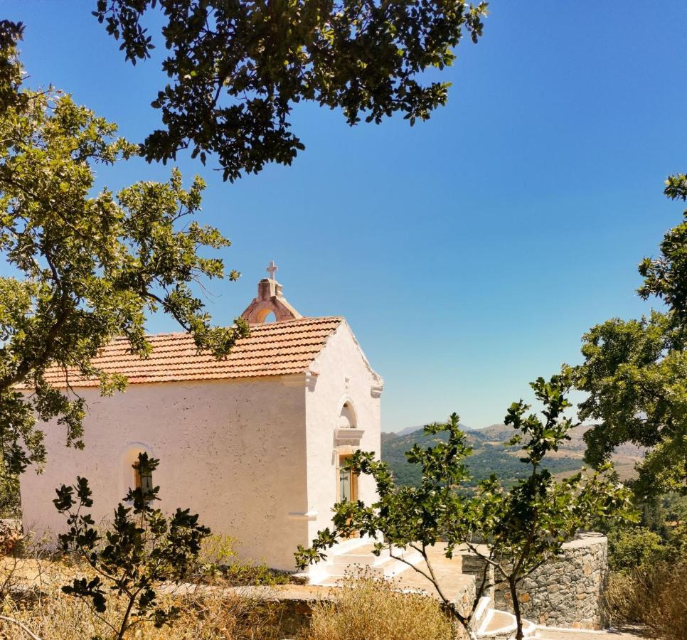 Villa Ermis - The Cretan Castello Kásztelosz Kültér fotó